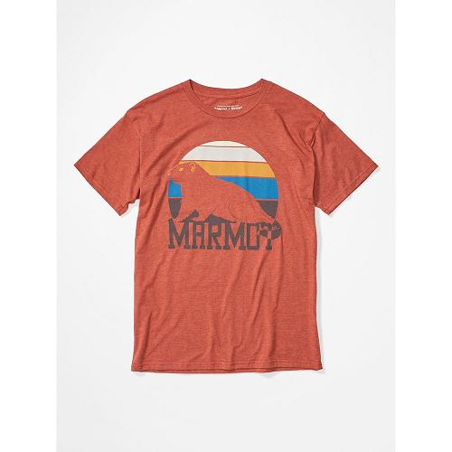 Marmot Clothes Multicolor NZ - Dawning T-Shirts Mens NZ3184097